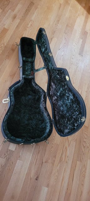 Collings Case inside.jpg