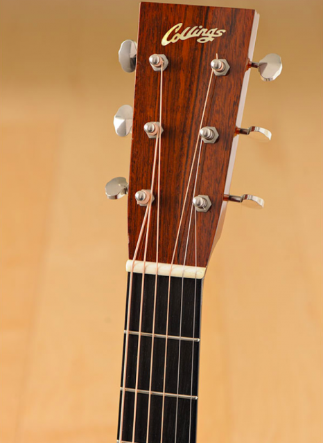 collings headstock.png