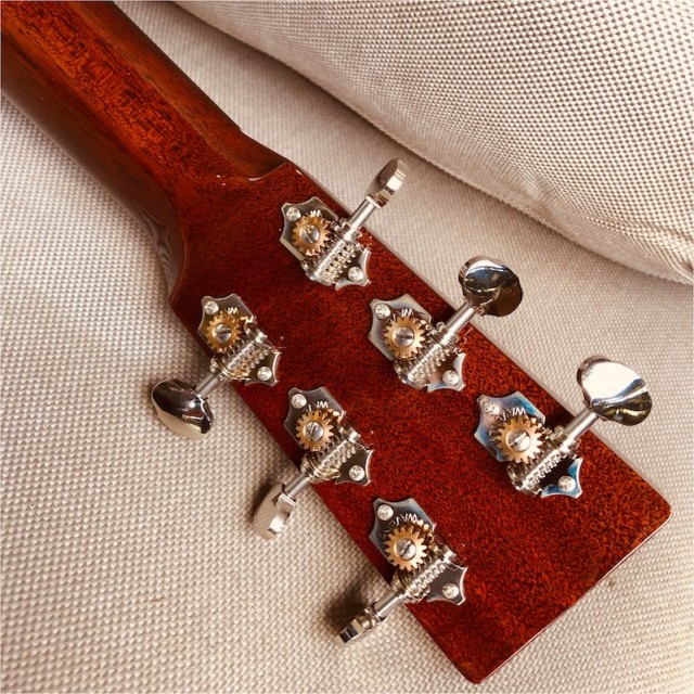 SCGC000-28-headstock-back.jpg