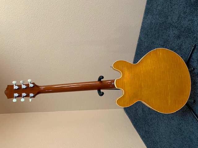 Collings Small Back.jpg