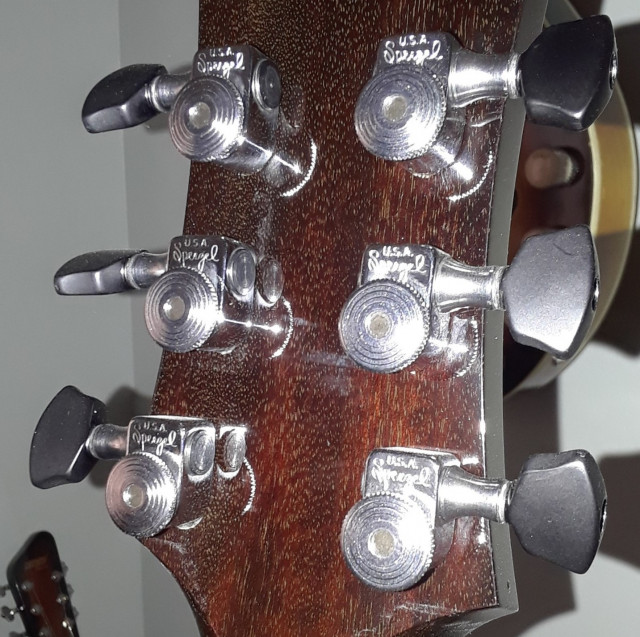 290 w Sperzel Locking Tuners cropped.jpg